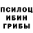 Псилоцибиновые грибы GOLDEN TEACHER Xx_Arsen Bum_xX