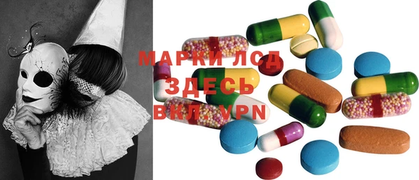 прущие грибы Абинск