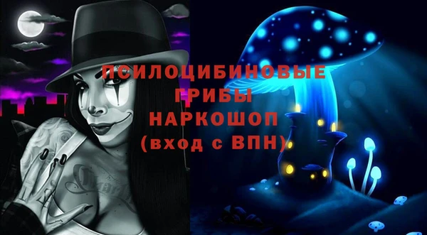 СК Абаза