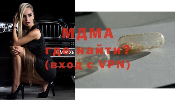прущие грибы Абинск