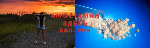 прущие грибы Абинск