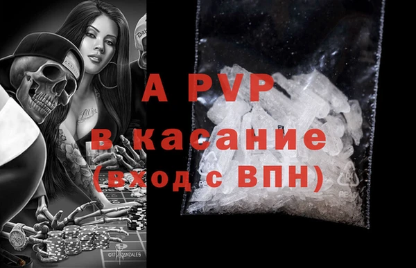 прущие грибы Абинск