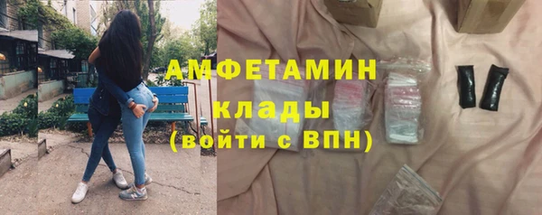 прущие грибы Абинск